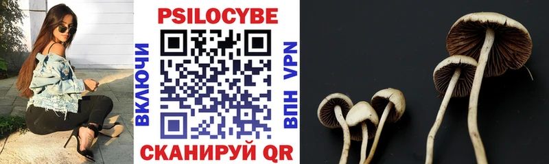 Псилоцибиновые грибы прущие грибы  Купить где  Батайск 